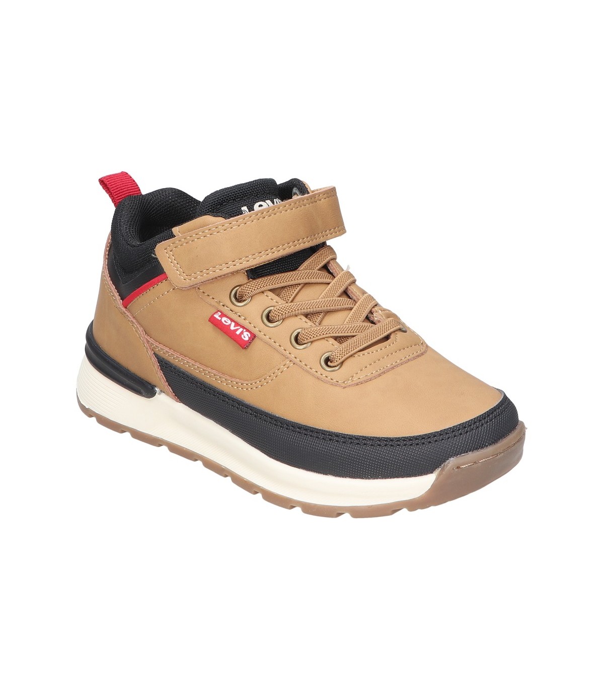 Bota