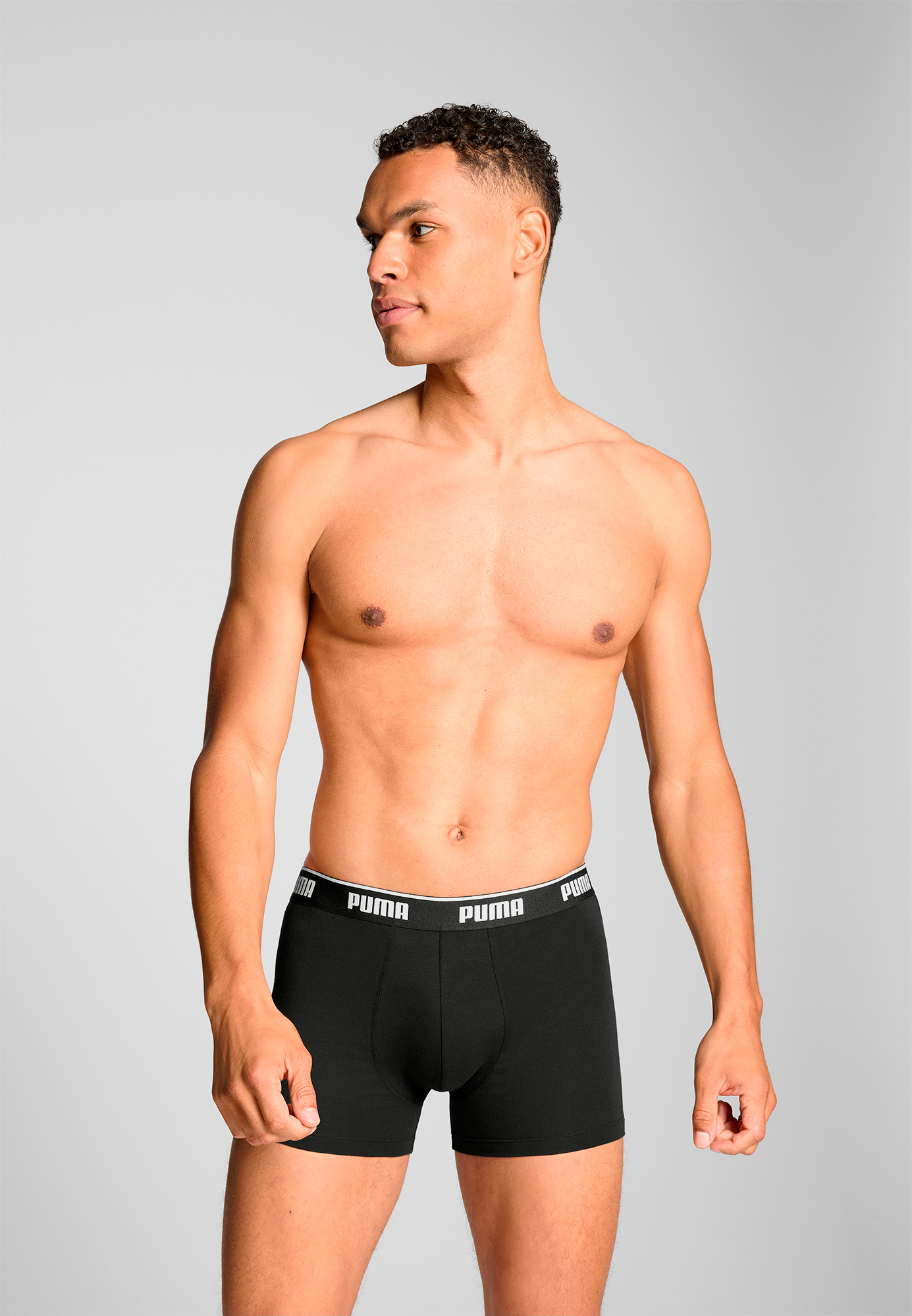 Boxer