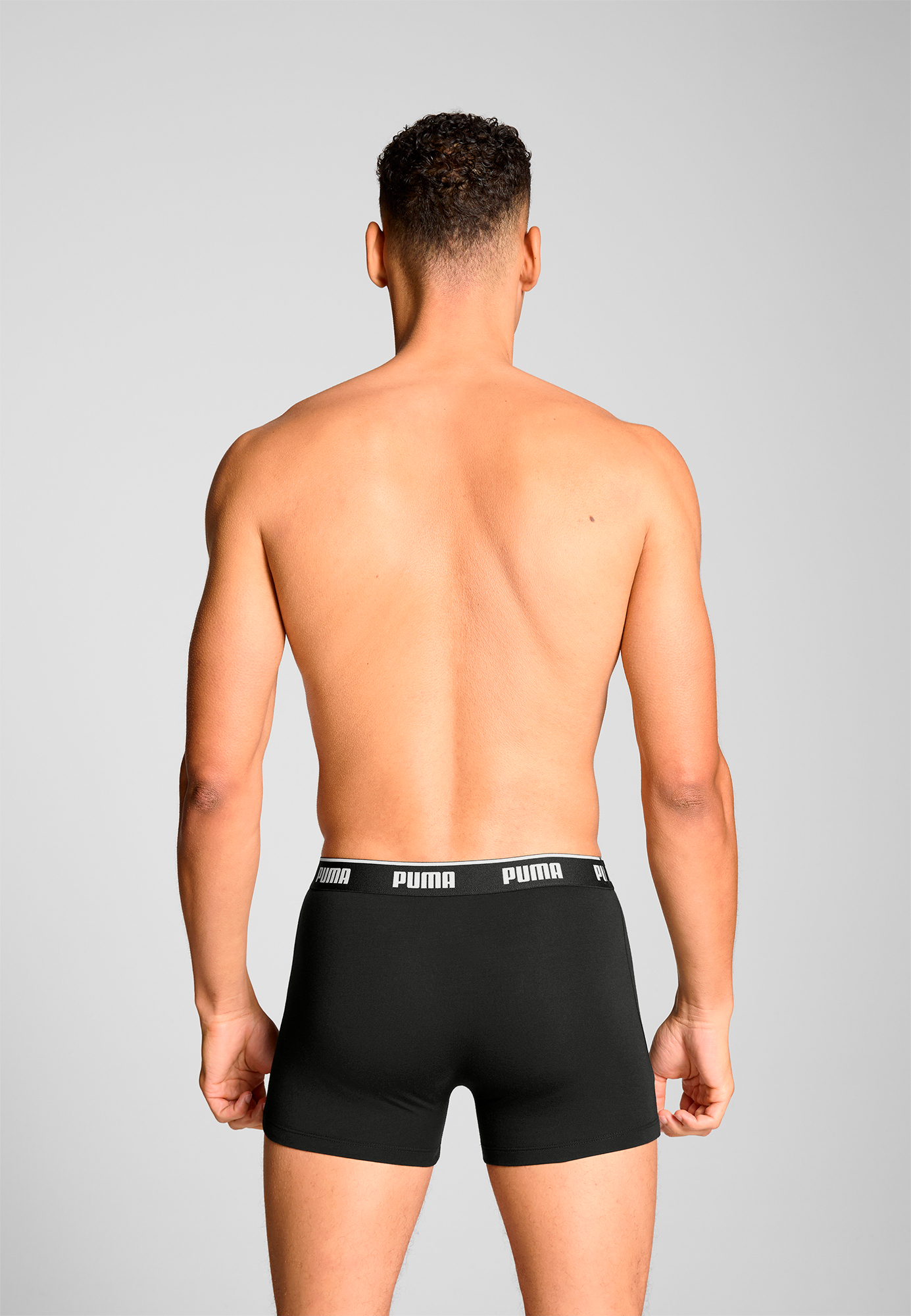 Boxer