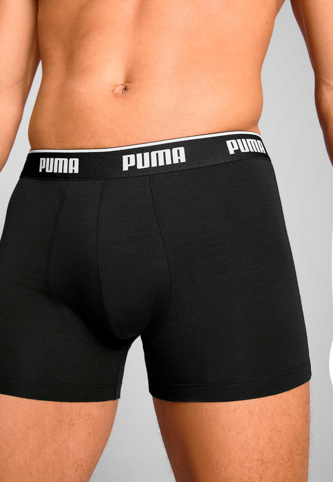 Boxer