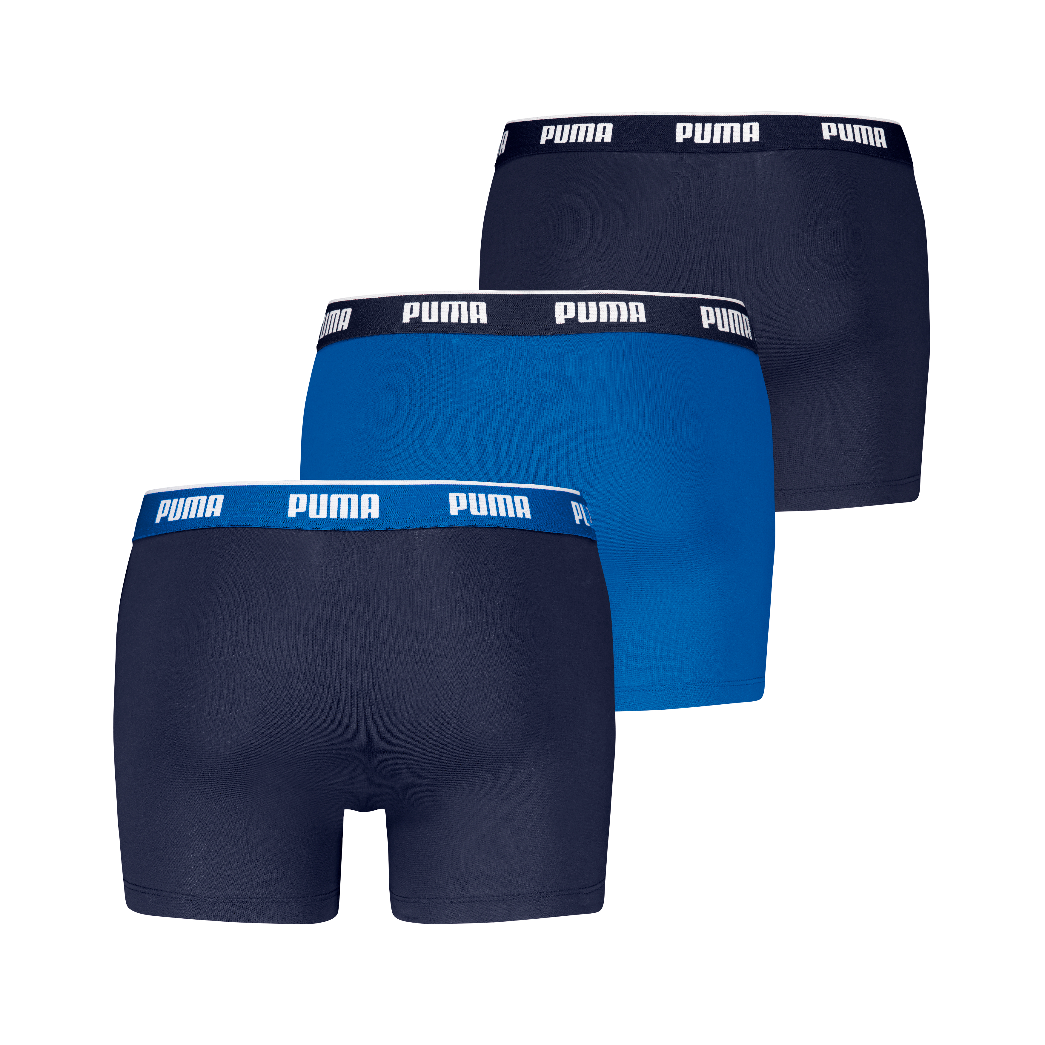 Boxer