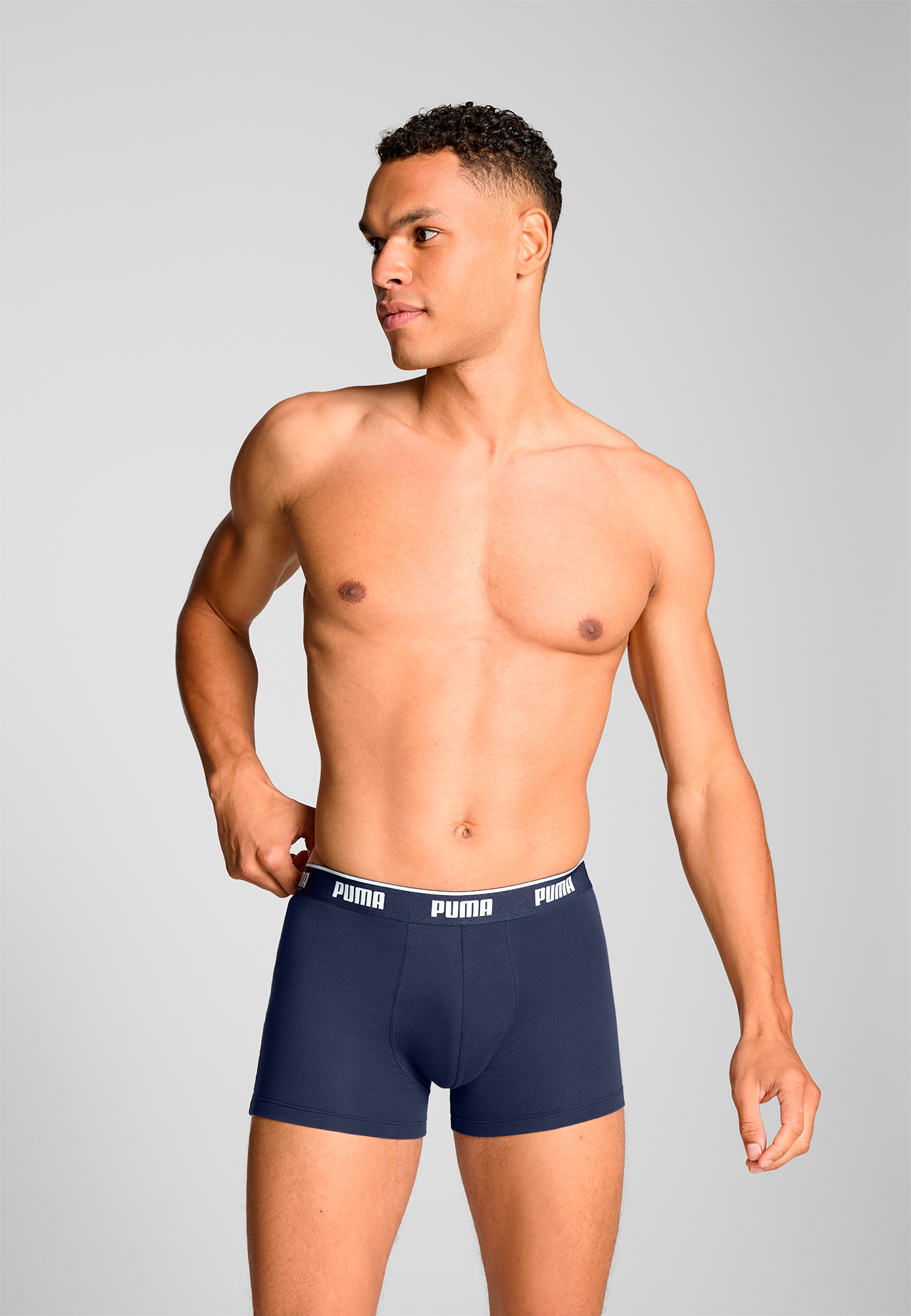 Boxer