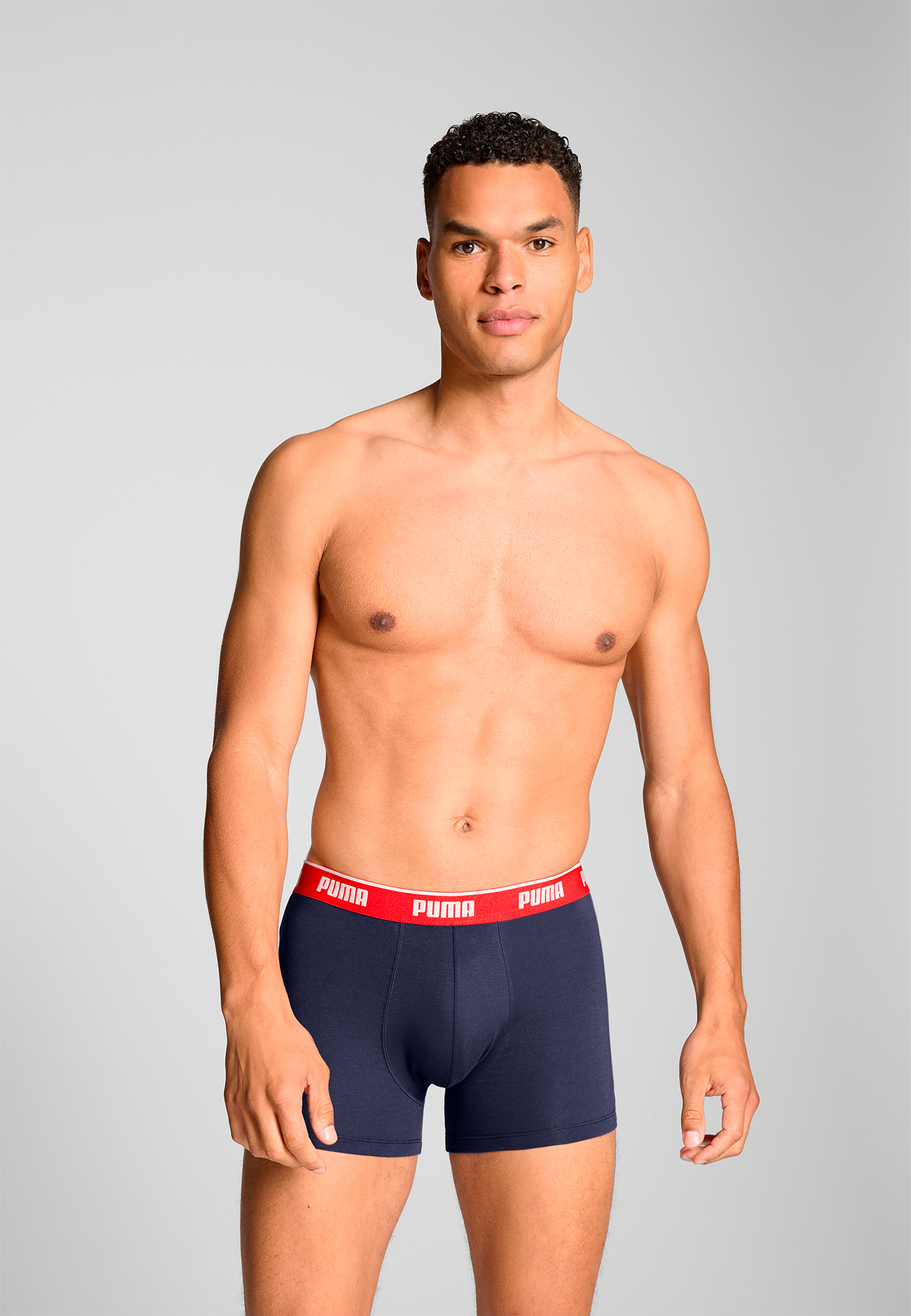 Boxer
