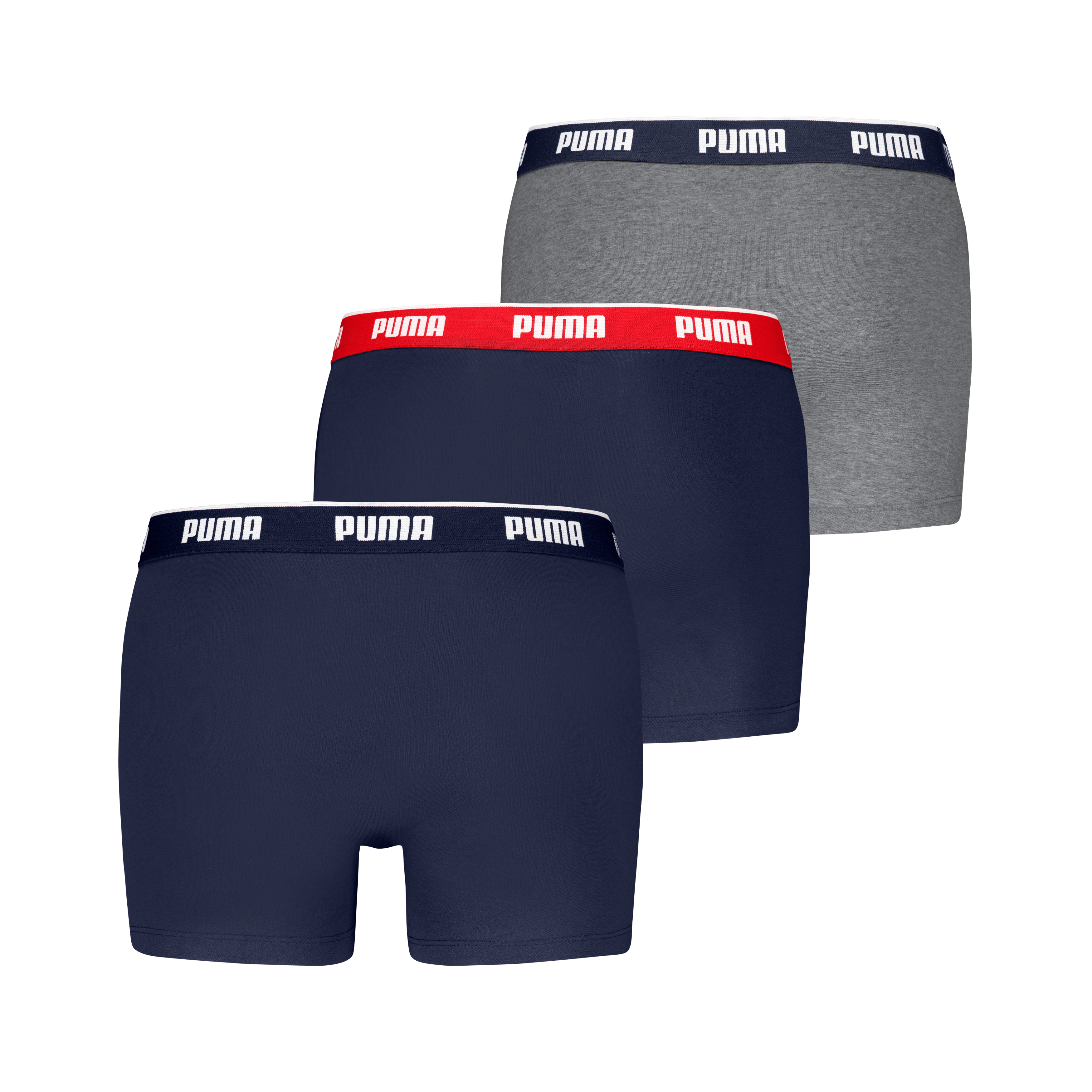 Boxer