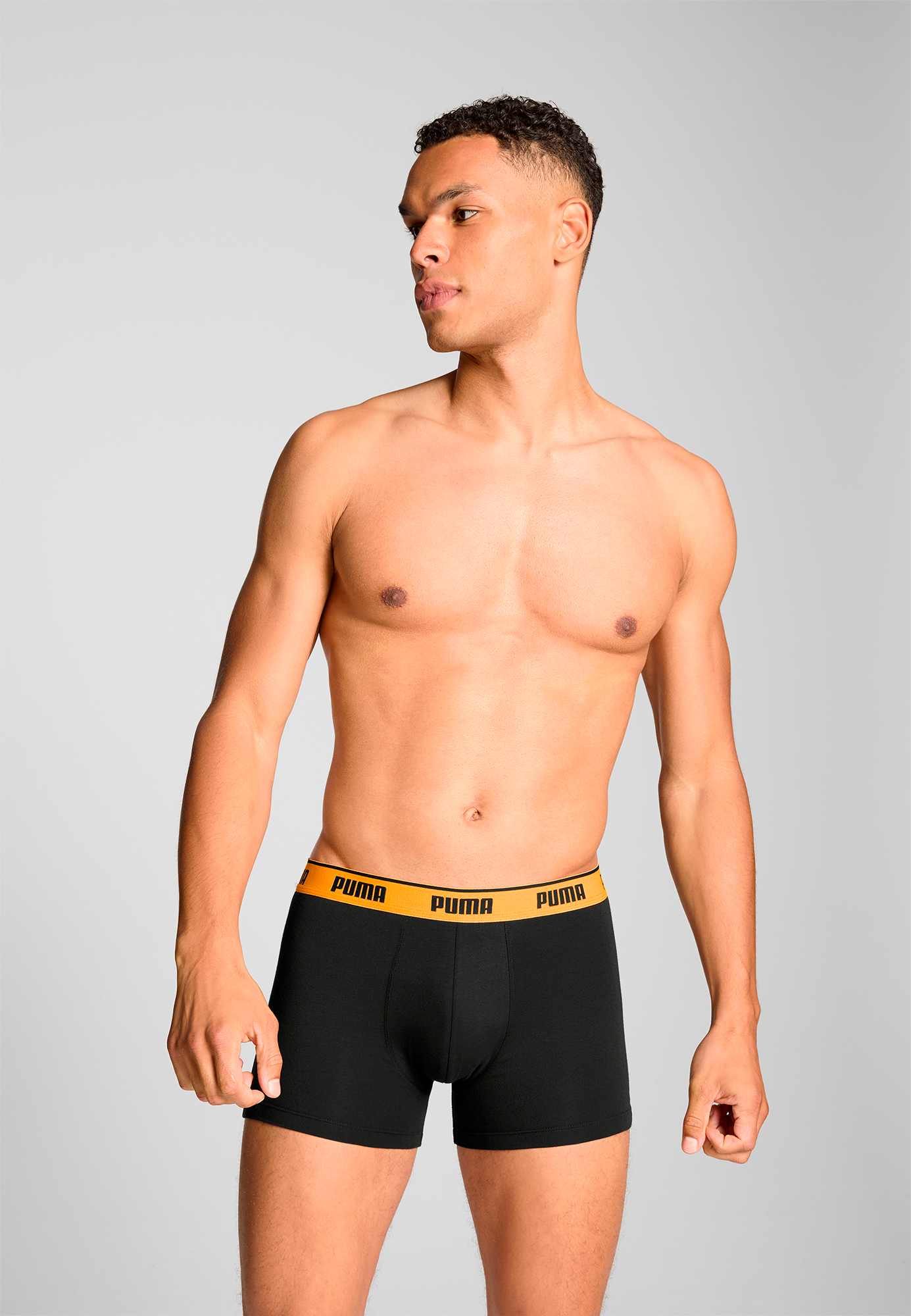 Boxer