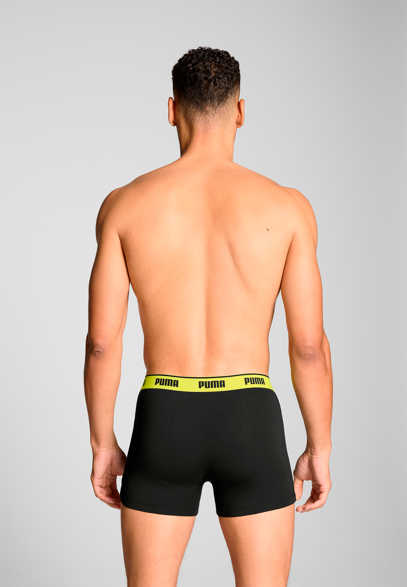 Boxer
