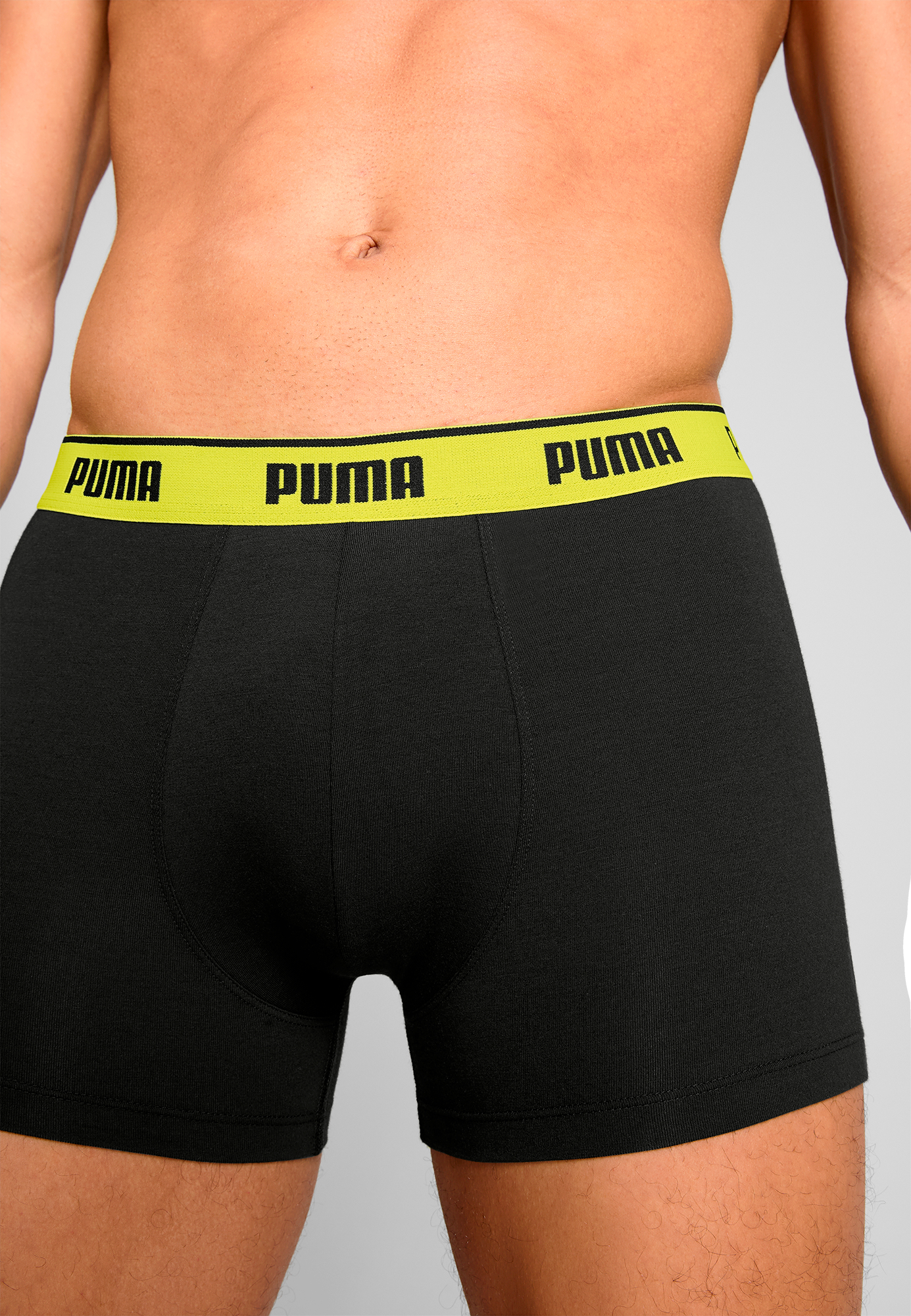 Boxer