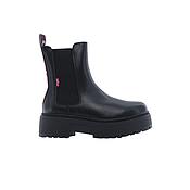 Bota
